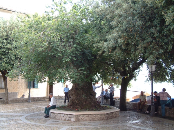 Campodimele - paese della longevit